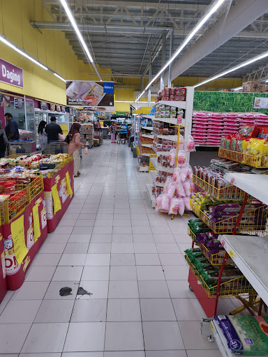 Lotus's Jitra