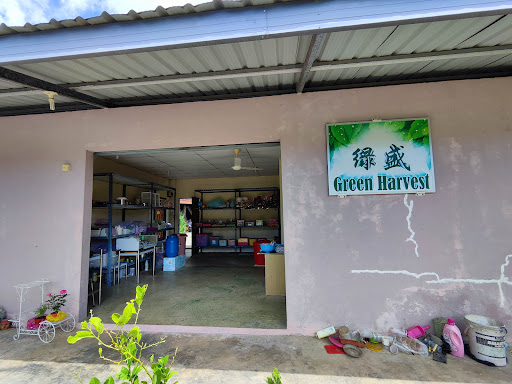 Green Harvest Kacang Kudat