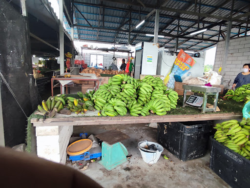 Pineapple Store