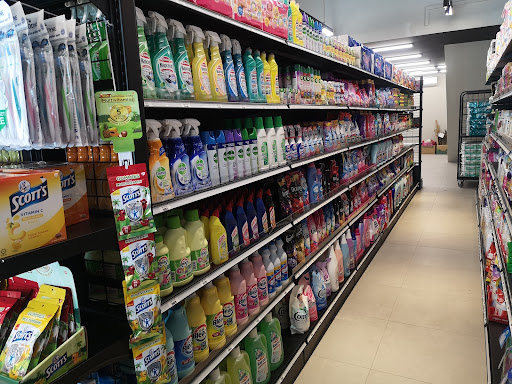 The Meigiz Grocer Eco Majestic