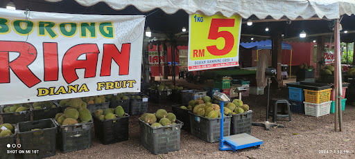 DIANA FRUIT